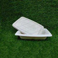 Biodegradable Container - Paper Material, 150ml To 650ml Sizes , Cream Color - Plain Pattern For Industrial Usage