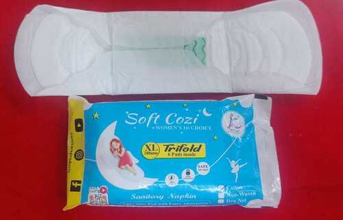 ANION CHIP SANITARY NAPKIN (A1)