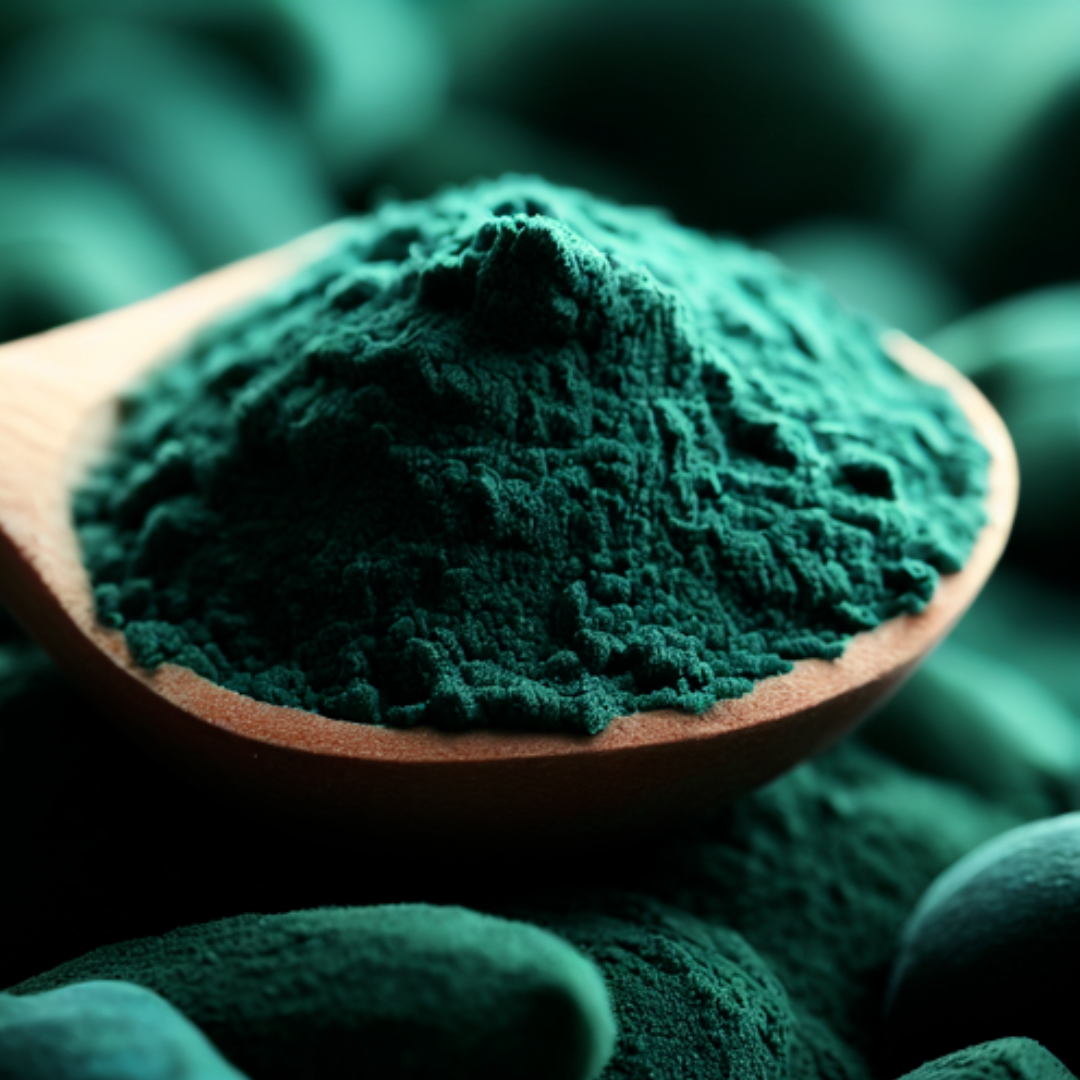 Spirulina Protein Concentrate