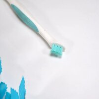 CLEANING BRUSH 6665