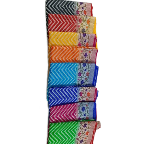Banarasi Organza Skert Border