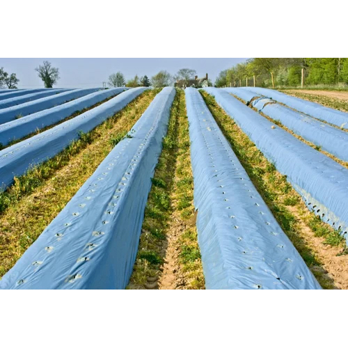 80 GSM Rigid Sky Blue Mulch Film - 4.5 Foot Width | Customized Sizes Available