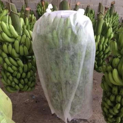 40 Micron Non Woven Banana Cover - Non Woven Material 40 Micron Thickness White Color | Ideal for Banana Preservation and Protection