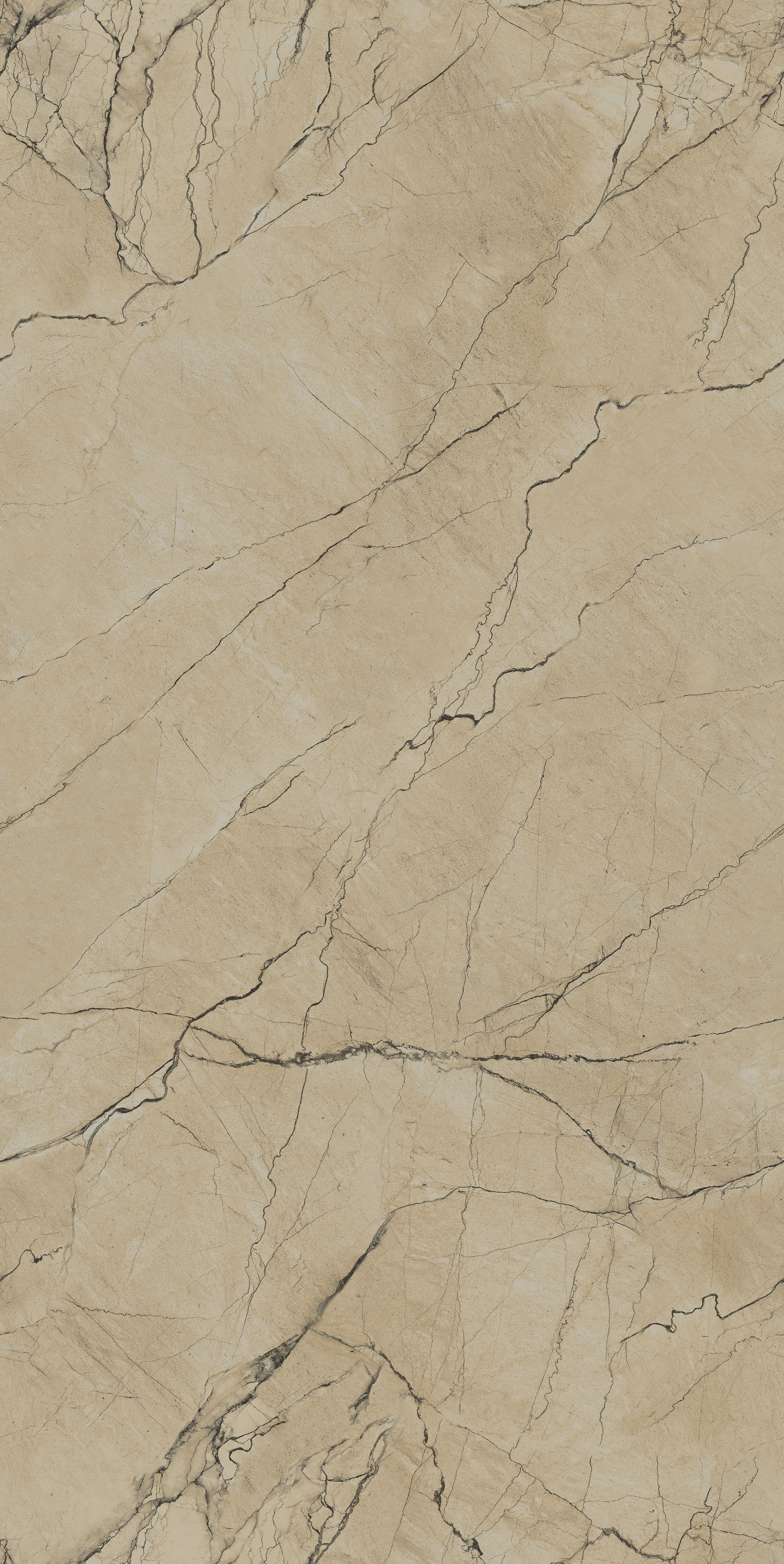 600x1200 BATHROOM WALL AND FLOOR TILES