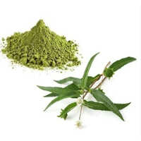 Bhringraj Extract - Grade: Herbal Grade