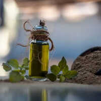 Brahmi Oil - 99% Pure Cold Pressed Herbal Extract From Leaves | For Mental Clarity, Stress Relief, Hair Growth, Scalp Health, 24-month Shelf Life