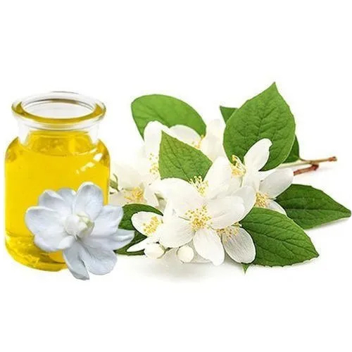 Jasmine Massage Oil