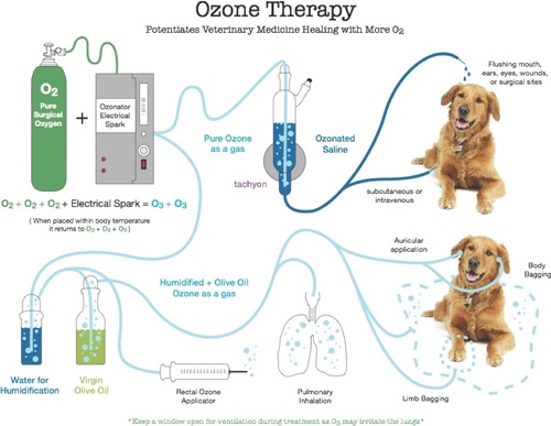 Veterinary Animal Health Care using Ozone by Aeolus