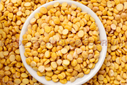 Chana Dal (Standard Quality)