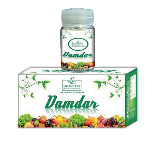 DAMDAR