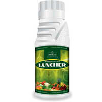 Flowering Nitrobenzene (luncher) - Application: Agriculture