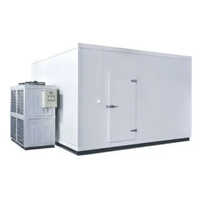 Fully Automatic Cold Storage Chamber - Color: White