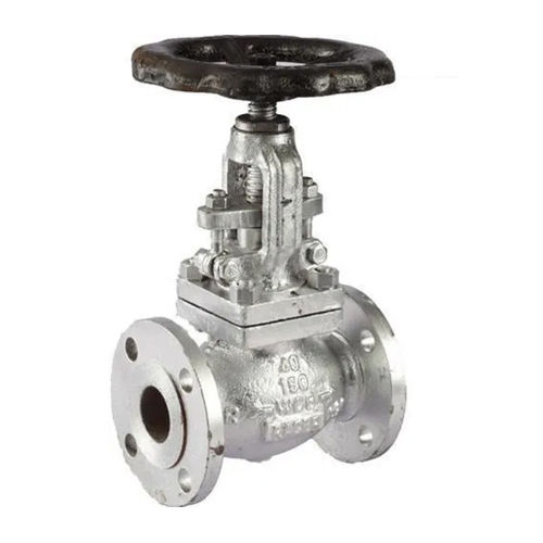 Flange End Globe Valve - Color: Silver