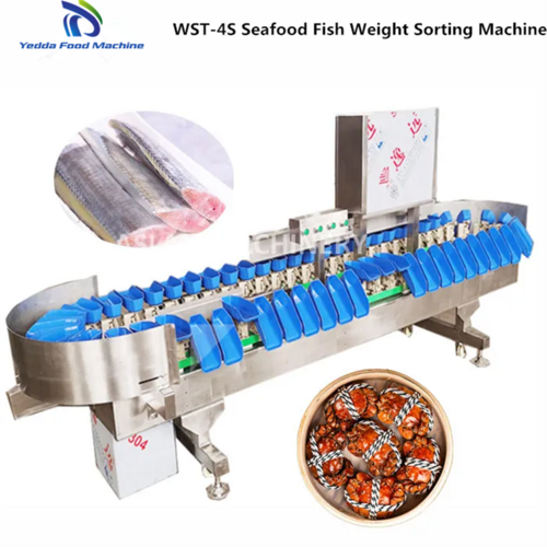 WST-4S Automatic Seafood Fish Weight Sorting machine