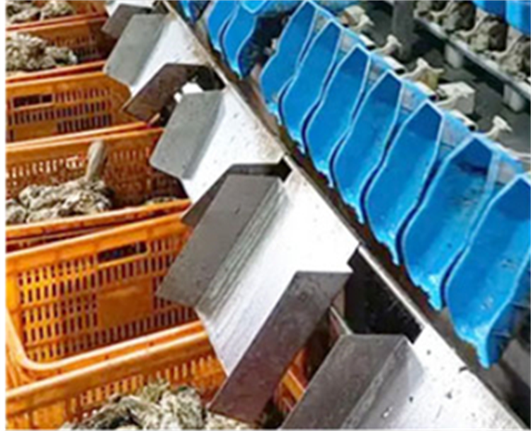 WST-4S Automatic Seafood Fish Weight Sorting machine