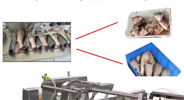 YDFC-201 Fish Head Cutting Machine fish Tail Cutting Machine Customized