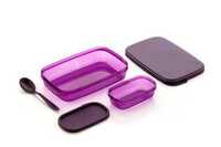 Plastic Lunch Box - Standard Size, Purple Color | Durable Plastic Material For Everyday Use