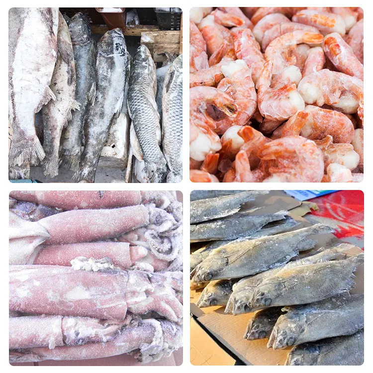 SSD-500 High Efficiency IQF Quick Freezing Tunnel Vegetable Fruit Fish Seafood Freezing Machine