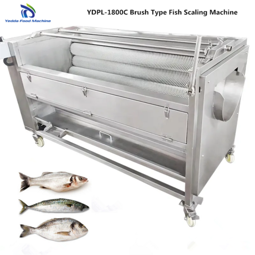 YDPL-1800 Automatic Brush Type Fish Scale Removing Machine
