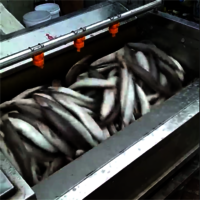 YDPL-1800 Automatic Brush Type Fish Scale Removing Machine