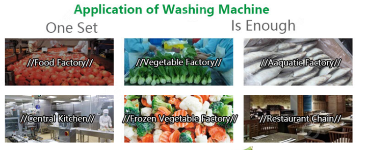 YD-X4000 Industrial Seafood Fish Vegetable Bubble Cleaing Machine