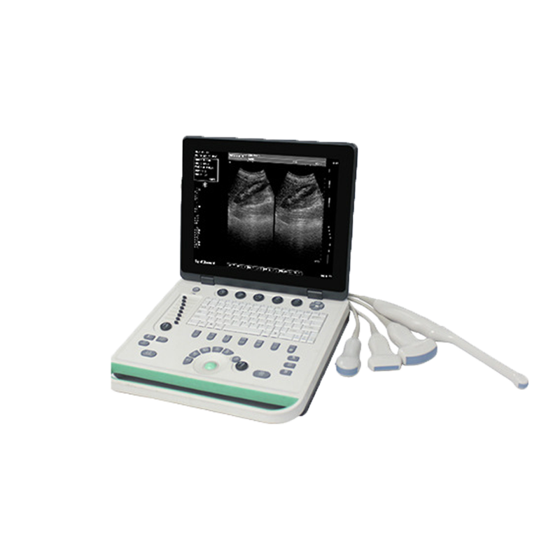 Portable B-ultrasound diagnostic instrument for animals