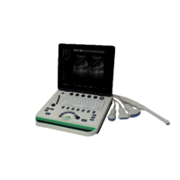 Portable B-ultrasound diagnostic instrument for animals