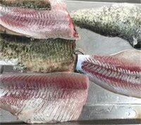 YGB-400 Automatic Fish Cuttlefish Squid Skin Peeling Machine