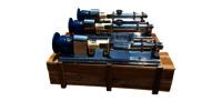 Stainless Steel Screw Pumps