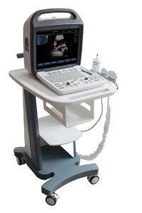 Laptop pet ultrasound machine color portable