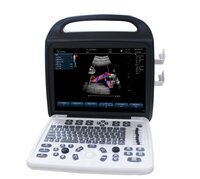 Laptop pet ultrasound machine color portable