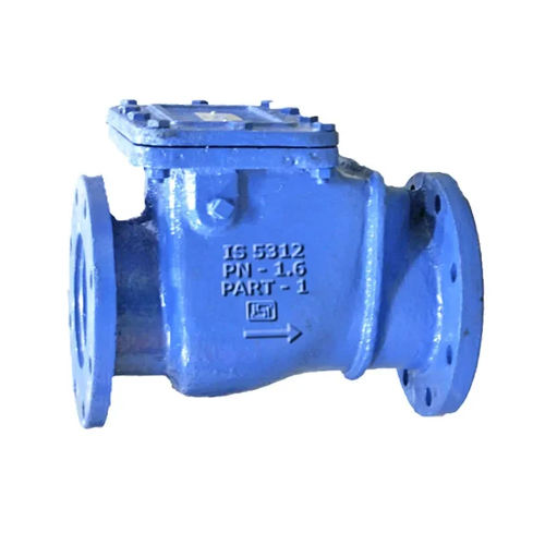 Cast Iron Reflux Valve