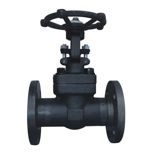 Forged Steel Flange End Globe Valve