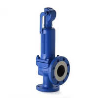 Cast Iron Safety Valves - Cast Iron Valve, Blue Finish For Water & Gas Applications | Ideal For Industrial Usage