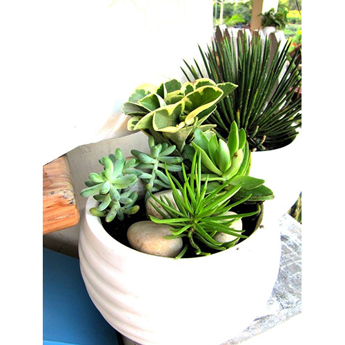 Fiber Table Top 2