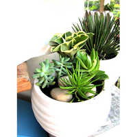 Fiber Table Top 2