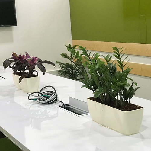 Fiber Bonsai Tray 3