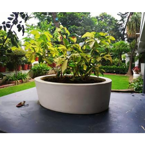 Fiber Bonsai Tray 6