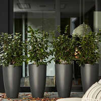 Fiber Glass Planter