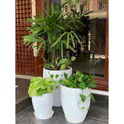 Fiber Grooves Planters