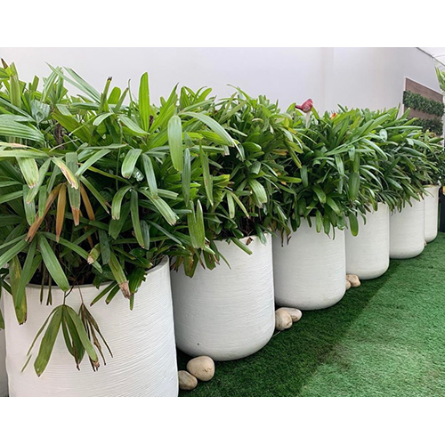 Fiber Grooves Planter