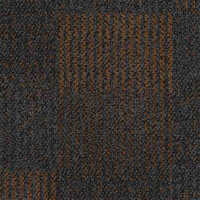 Greyish Orange Common Ground Carpet Tile - Color: Blacks