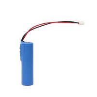 Finished Li ion Battery