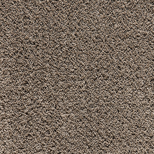 Linen Cashmere Cut Pile Wall To Wall Carpet