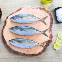 Indian Mackerel Fish - Whole, Frozen | Fresh Taste Without Compromise, Soft Texture, Quality Assured Without Ammonia Treatment
