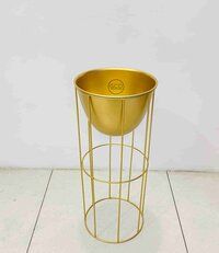 Golden Plnater with golden powder coated stands cheap price with best finish