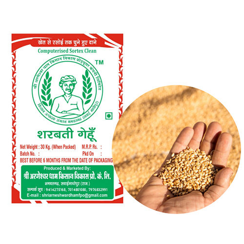 SHARBATI WHEAT