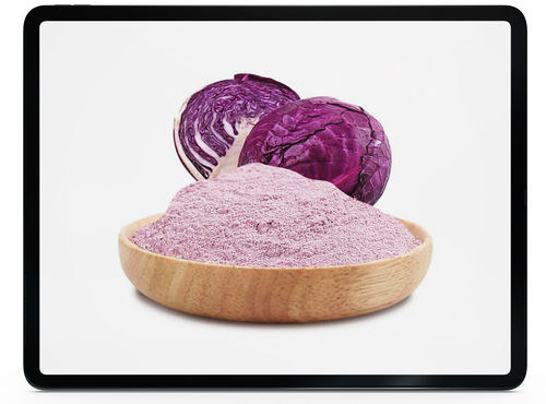 Red Cabbage Powder Shelf Life: 12 Months