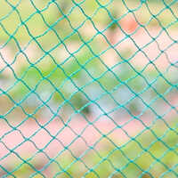Nylon Bird Netting - Customised Size, Multicolor | Versatile Bird Protection Solution