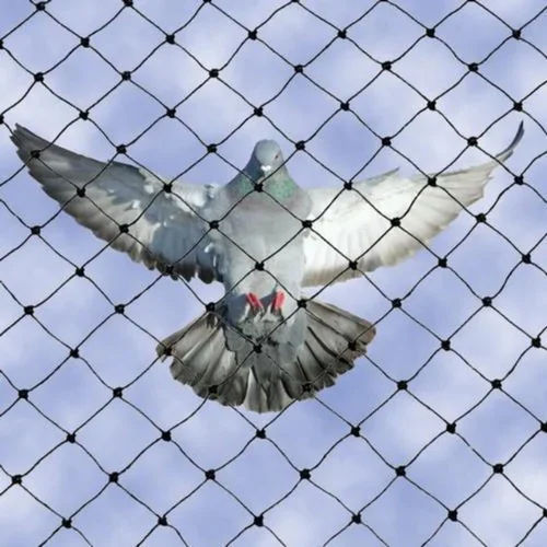 Birds Protective Nets Length: 10-20  Meter (M)